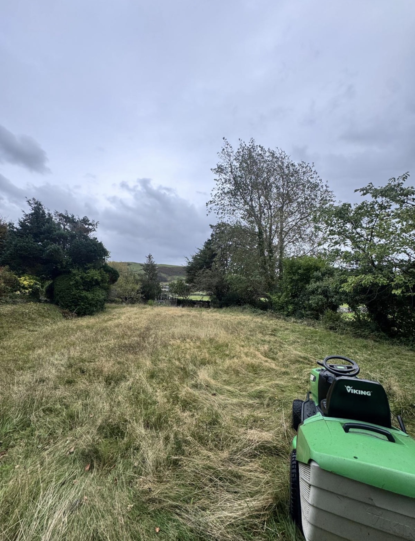 Large rough grass area before cutting