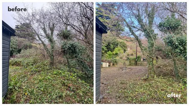 Picture showing before and after garden clearance completed by Hawkins Garden Services of Tywyn