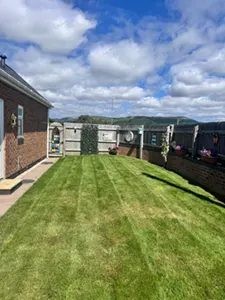 Thumbnail Picture showing lawns maintained and cut by Hawkins Garden Services of Tywyn