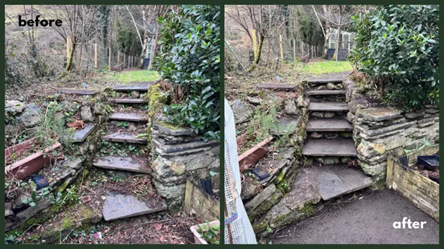 Picture showing before and after garden hedge maintenance and trimming completed by Hawkins Garden Services of Tywyn
