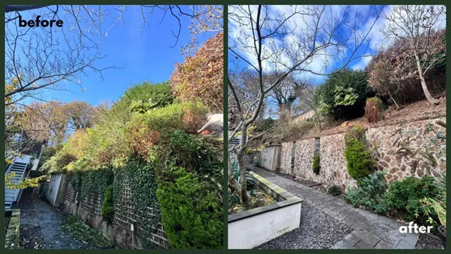Picture showing before and after garden hedge maintenance and trimming completed by Hawkins Garden Services of Tywyn