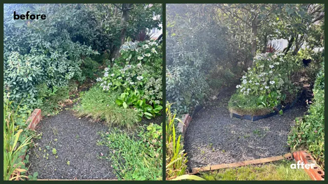 Picture showing before and after garden hedge maintenance and trimming completed by Hawkins Garden Services of Tywyn