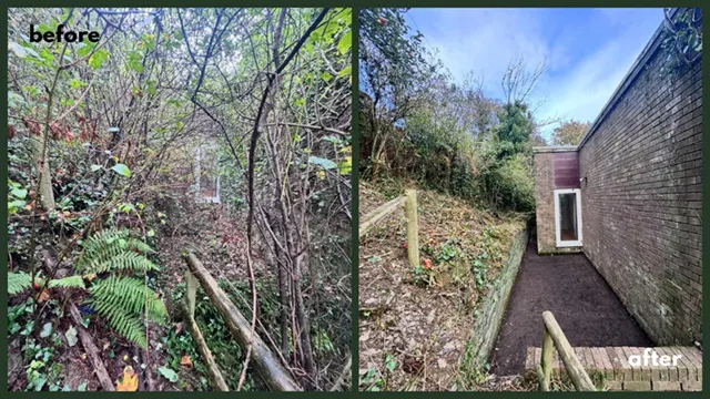 Picture showing before and after garden hedge maintenance and trimming completed by Hawkins Garden Services of Tywyn