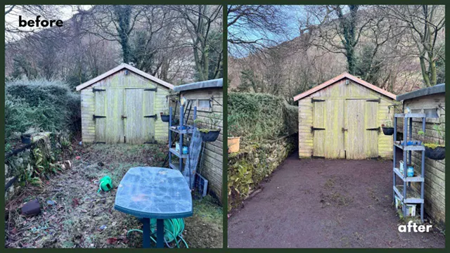 Picture showing before and after garden hedge maintenance and trimming completed by Hawkins Garden Services of Tywyn
