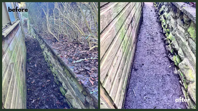 Picture showing before and after garden hedge maintenance and trimming completed by Hawkins Garden Services of Tywyn