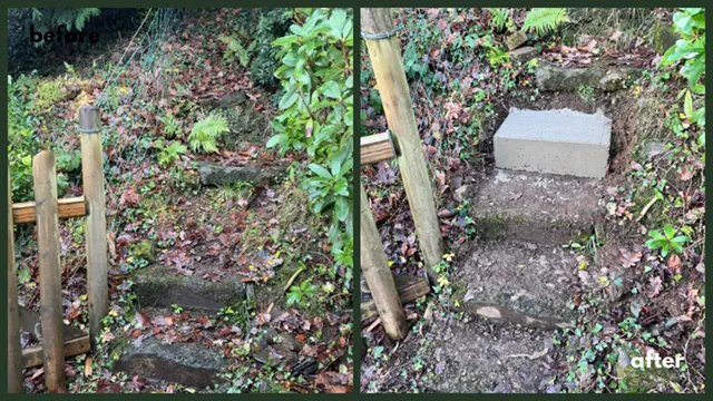 Picture showing before and after garden hedge maintenance and trimming completed by Hawkins Garden Services of Tywyn