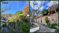 Picture showing before and after garden hedge trimming completed by Hawkins Garden Services of Tywyn