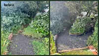 Picture showing before and after garden hedge trimming completed by Hawkins Garden Services of Tywyn