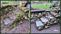 Picture showing before and after garden hedge trimming completed by Hawkins Garden Services of Tywyn
