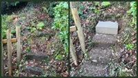 Picture showing before and after garden hedge trimming completed by Hawkins Garden Services of Tywyn