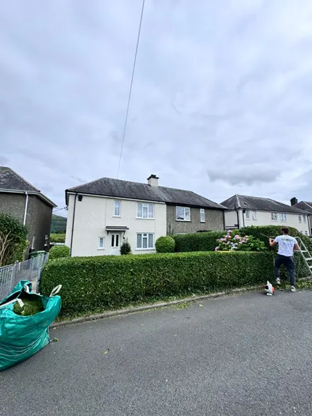 Picture showing before and after garden hedge maintenance and trimming completed by Hawkins Garden Services of Tywyn