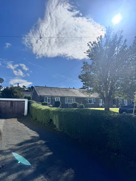 Picture showing before and after garden hedge maintenance and trimming completed by Hawkins Garden Services of Tywyn
